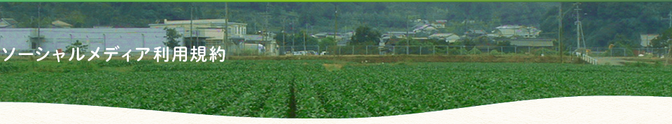 ソーシャルメディア利用規約